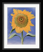 Sunflower, New Mexico, 1935 Fine Art Print