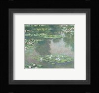 Water Lilies (I), 1905 Fine Art Print