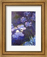 Water Lilies and Agapanthus, 1914-1917 Fine Art Print