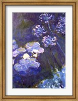 Water Lilies and Agapanthus, 1914-1917 Fine Art Print