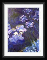 Water Lilies and Agapanthus, 1914-1917 Fine Art Print