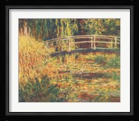 Water Lily Pond - Pink Harmony Fine Art Print