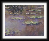Water Lilies, 1903 Fine Art Print
