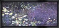 Water Lilies: Morning Fine Art Print