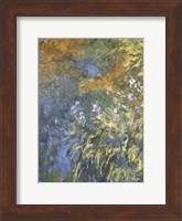 Yellow Iris Fine Art Print