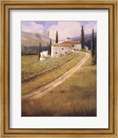 Tuscany Vineyard Fine Art Print