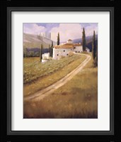 Tuscany Vineyard Framed Print