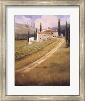 Tuscany Vineyard Fine Art Print