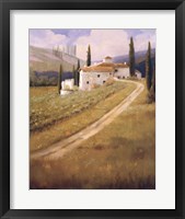 Tuscany Vineyard Fine Art Print