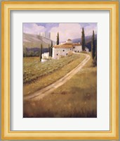 Tuscany Vineyard Fine Art Print