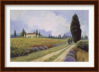 Holiday in Tuscany Fine Art Print