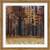 Autumn Wood Fine Art Print