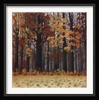 Autumn Wood Fine Art Print