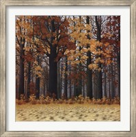 Autumn Wood Fine Art Print