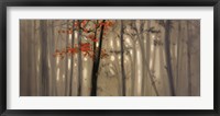 Fall Foliage Fine Art Print