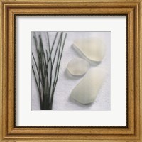 Sea Glass - Straw Fine Art Print