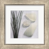 Sea Glass - Straw Fine Art Print