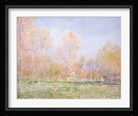 Spring in Giverny Fine Art Print