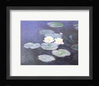 Nymphaeas Effet du Soir Framed Print