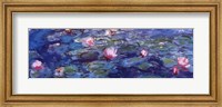 Water Lilies (blue and purple) Fine Art Print