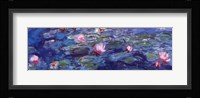 Water Lilies (blue and purple) Framed Print