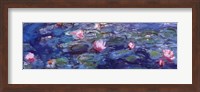 Water Lilies (blue and purple) Fine Art Print