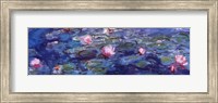 Water Lilies (blue and purple) Fine Art Print