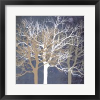 Tranquil Trees Framed Print