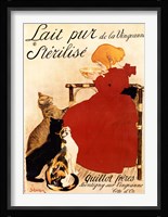 Lait Sterilise Framed Print