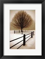Solitude Fine Art Print