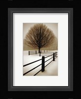Solitude Fine Art Print