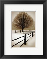 Solitude Fine Art Print