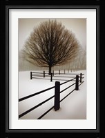 Solitude Fine Art Print