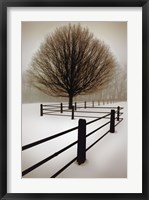 Solitude Fine Art Print