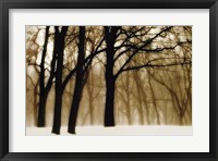 Past Dreams Fine Art Print