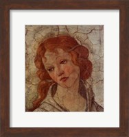 Detail: Venus and the Three Graces II Fine Art Print