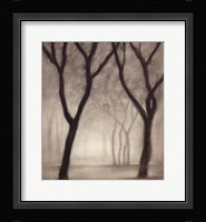 Forest IV Fine Art Print