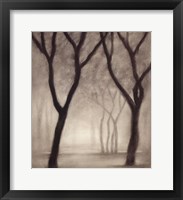 Forest IV Fine Art Print