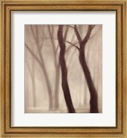Forest III Fine Art Print