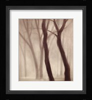Forest III Fine Art Print