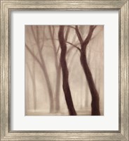 Forest III Fine Art Print