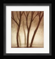Forest II Fine Art Print