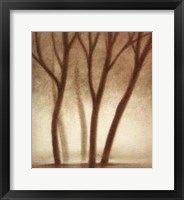 Forest II Fine Art Print