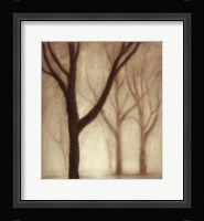 Forest I Fine Art Print