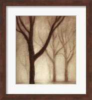 Forest I Fine Art Print