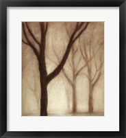 Forest I Fine Art Print