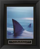 Intimidation - Sharks Fine Art Print