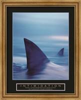 Intimidation - Sharks Fine Art Print