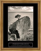 Perseverance - Lone Pinyon Tree Fine Art Print