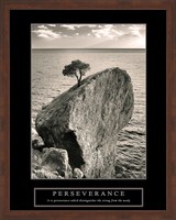 Perseverance - Lone Pinyon Tree Fine Art Print